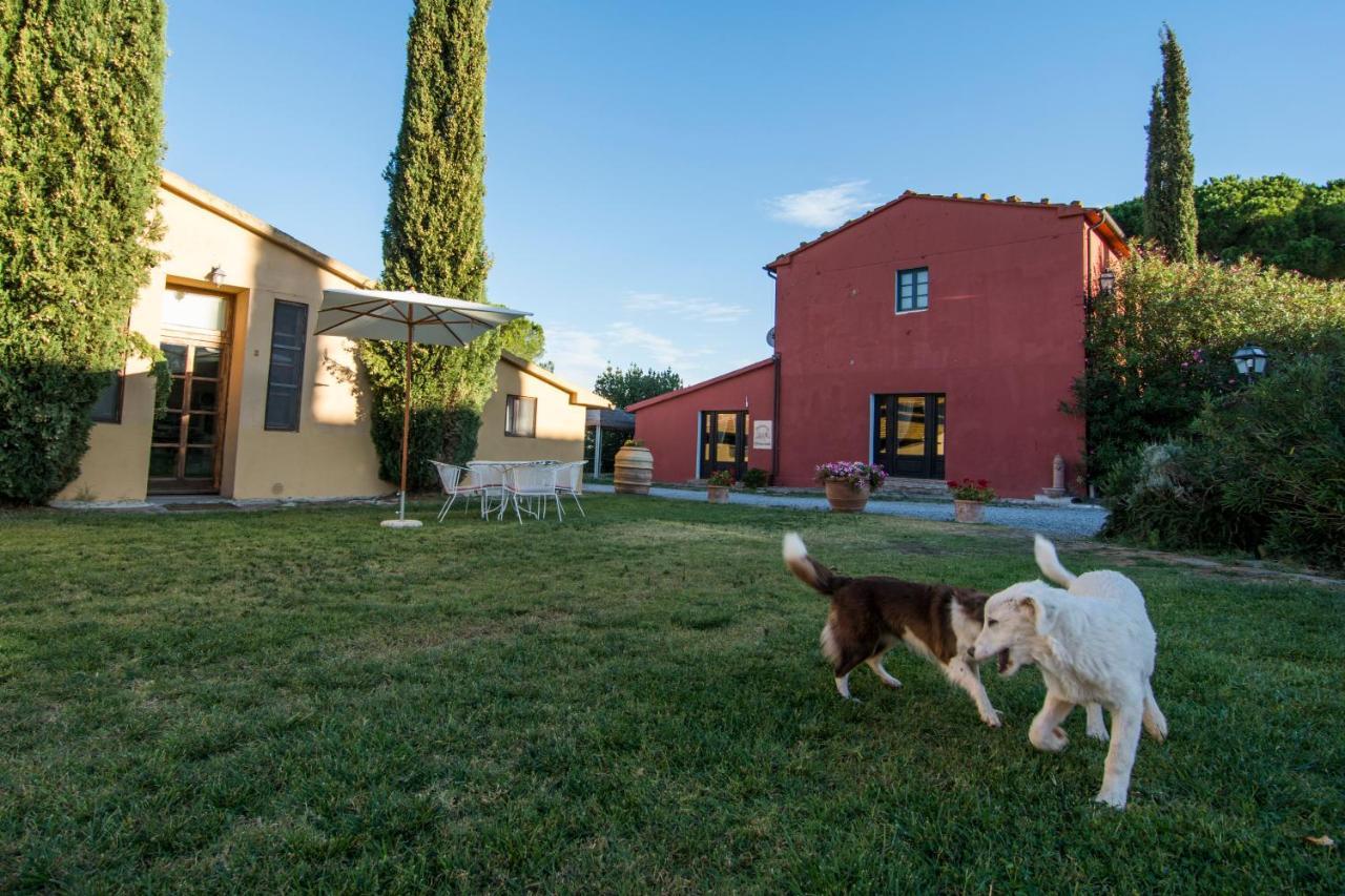 Tenuta Col Di Sasso Scarlino Exteriör bild